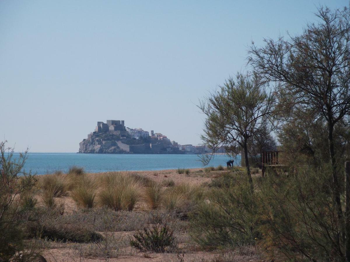 Verdemar Bajo *